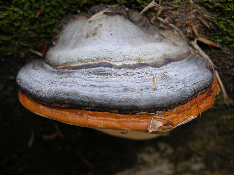 Ritrovamenti del 10 marzo.